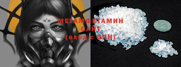 крисы Кулебаки