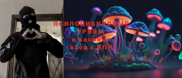 мдпв Кукмор