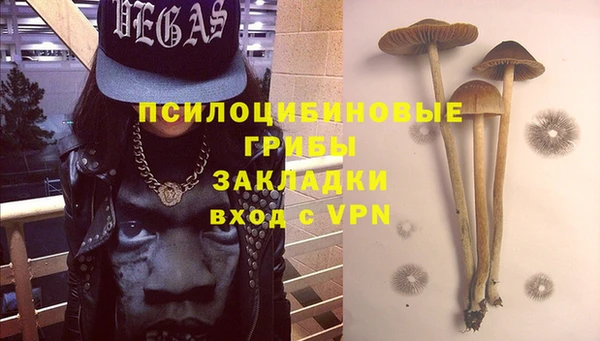 крисы Кулебаки