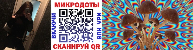 Купить  Палласовка  Псилоцибиновые грибы Magic Shrooms 